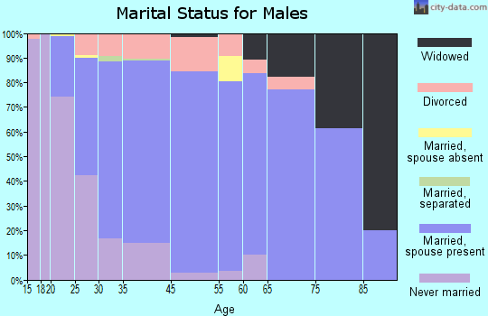 La Vista marital status for males