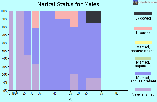 Madrid marital status for males