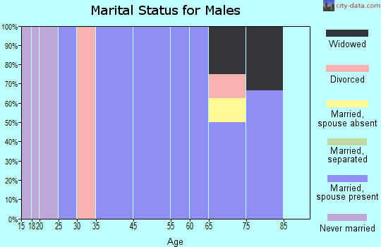 Mason City marital status for males
