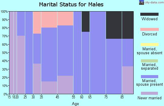 Meadow Grove marital status for males