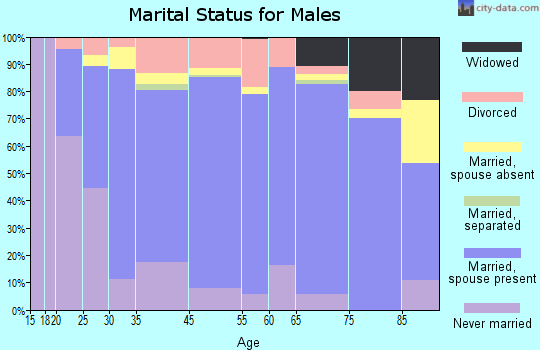 Nebraska City marital status for males