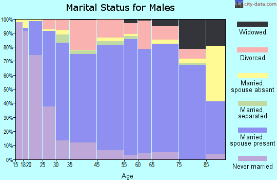 North Platte marital status for males