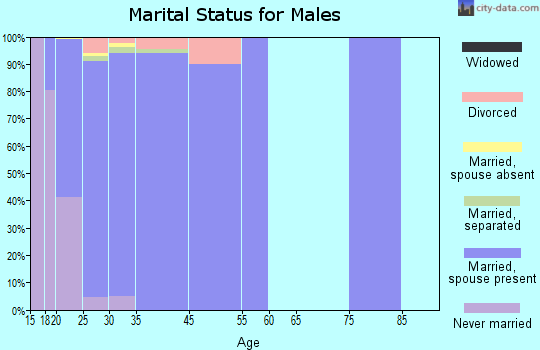 Offutt AFB marital status for males