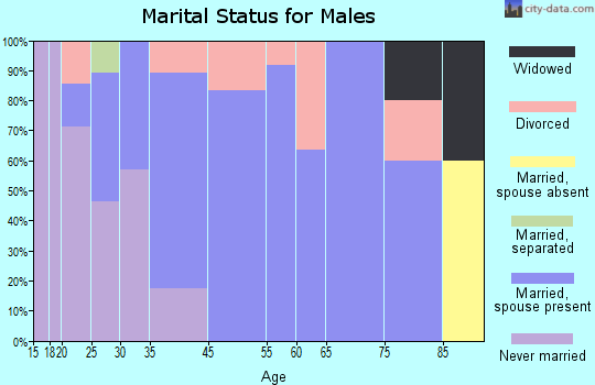 Palmyra marital status for males