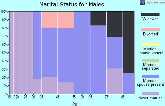 Petersburg marital status for males