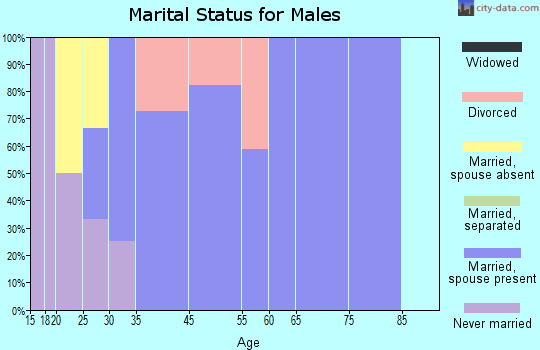 Pleasant Dale marital status for males