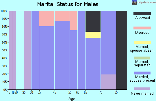 Republican City marital status for males
