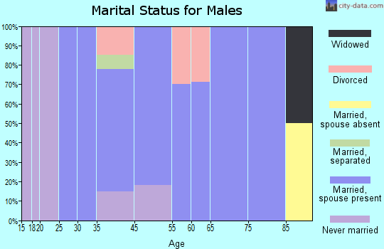 Rising City marital status for males