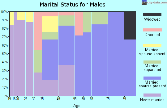Lake View marital status for males