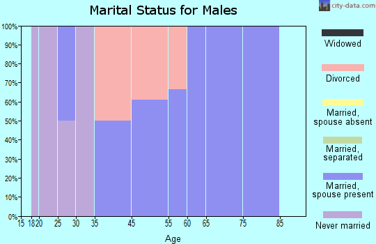 Salem marital status for males