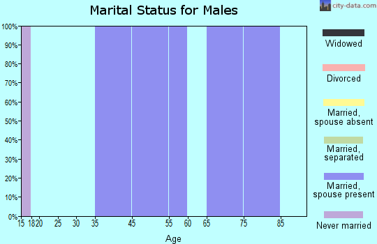 Saronville marital status for males
