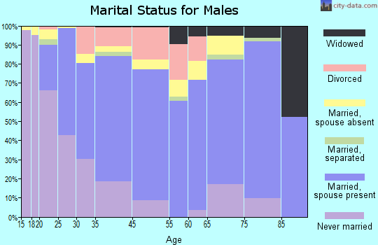 South Sioux City marital status for males