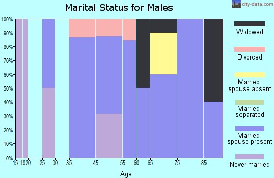 Springview marital status for males
