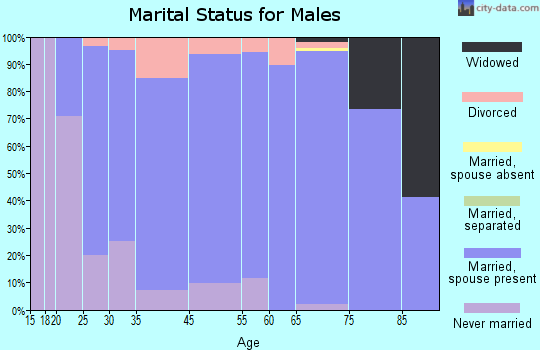 Syracuse marital status for males