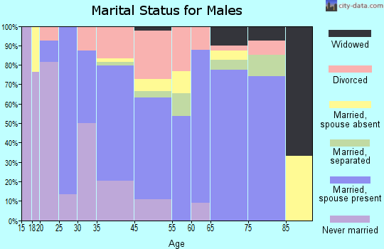 Lewisville marital status for males