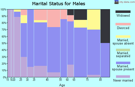 Wood River marital status for males