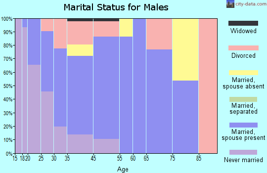 Battle Mountain marital status for males