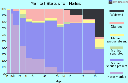 Boulder City marital status for males