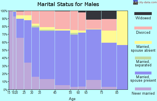 Elko marital status for males