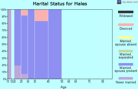 Fallon Station marital status for males