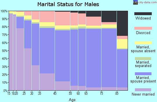 Little Rock marital status for males
