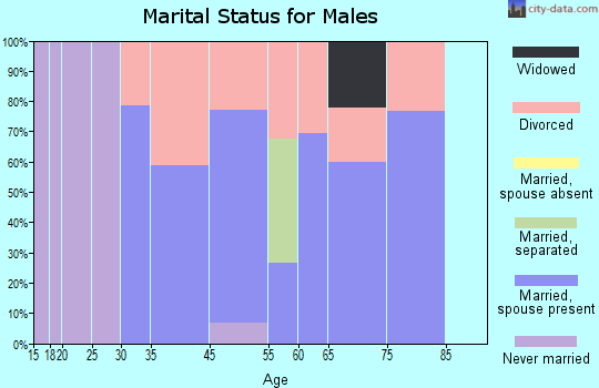 Indian Springs marital status for males