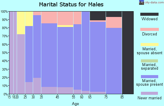Johnson Lane marital status for males