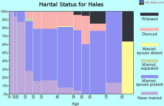 Lemmon Valley-Golden Valley marital status for males
