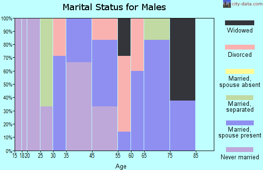 McDermitt marital status for males