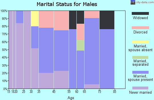 Sandy Valley marital status for males