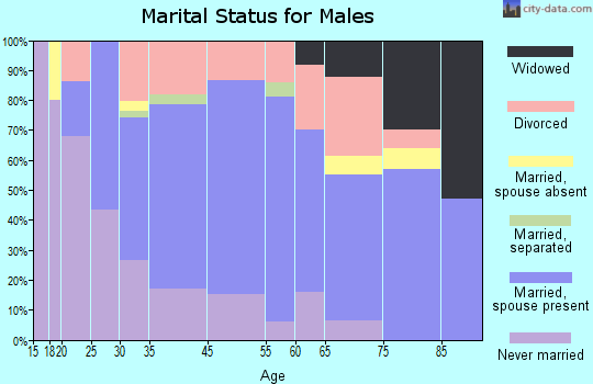 Silver Springs marital status for males