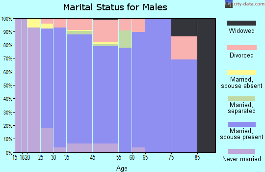 Spanish Springs marital status for males