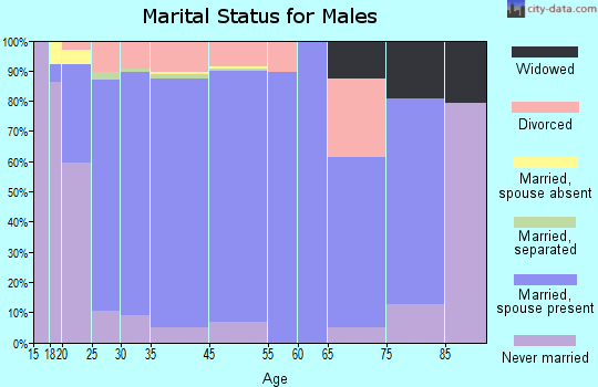 Spring Creek marital status for males