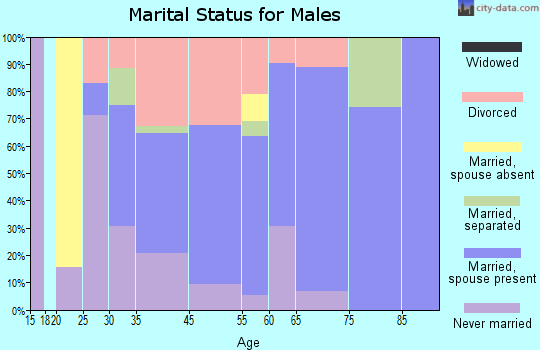 Zephyr Cove-Round Hill Village marital status for males