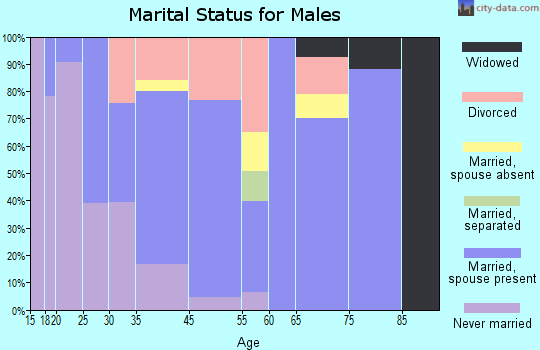 Bristol marital status for males