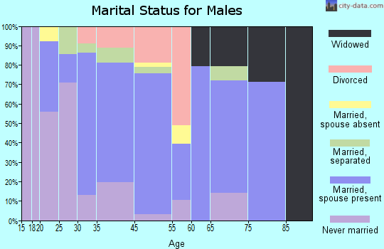 Farmington marital status for males
