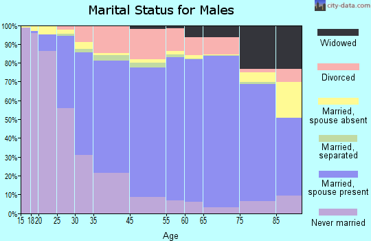 Nashua marital status for males