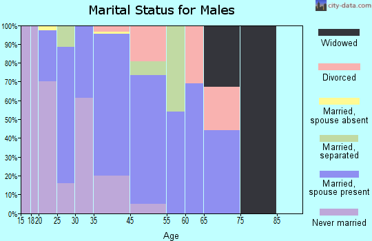 Pittsfield marital status for males