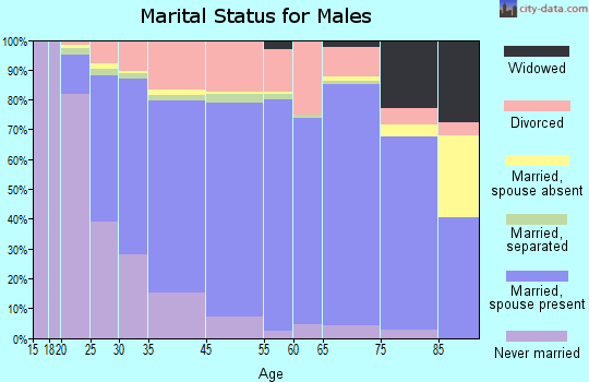 Rochester marital status for males