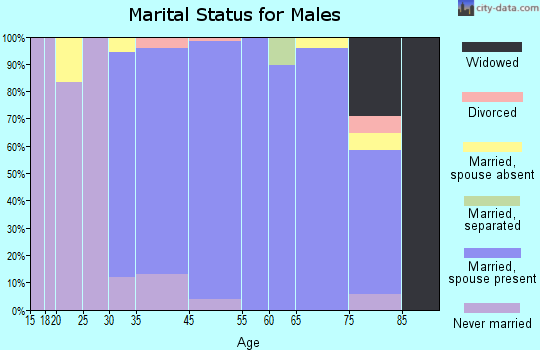 Allendale marital status for males