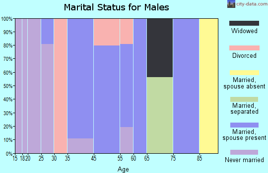 Annandale marital status for males