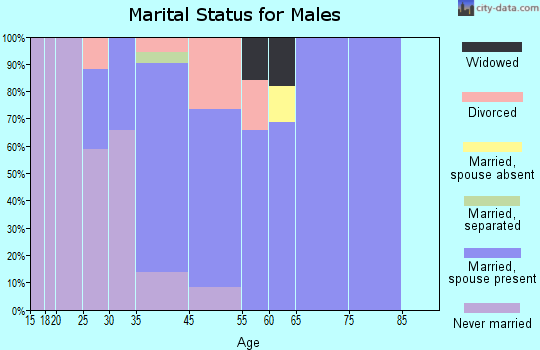 Barnegat marital status for males