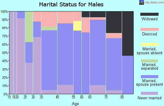 Barnegat Light marital status for males