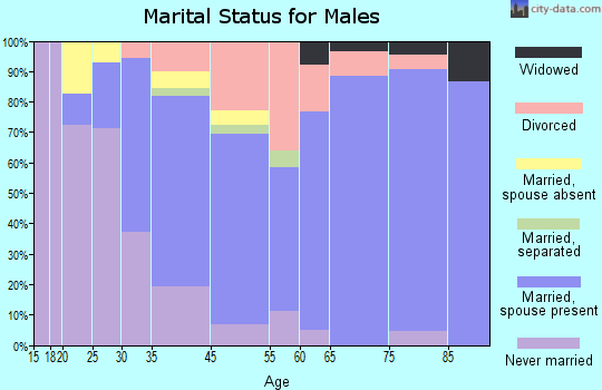 Beach Haven marital status for males