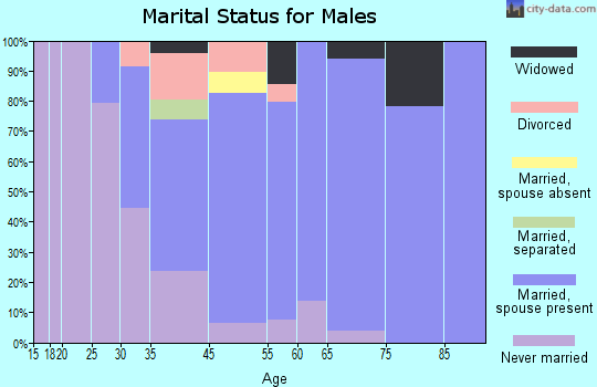 Beach Haven West marital status for males