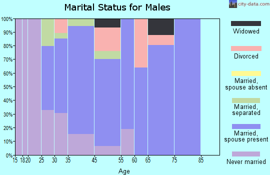Beatyestown marital status for males