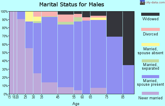 Bloomingdale marital status for males