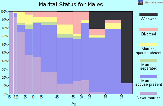 Bound Brook marital status for males