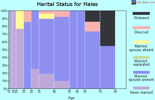 Brass Castle marital status for males