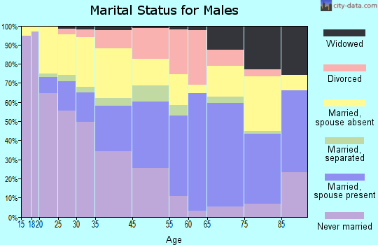 Bridgeton marital status for males